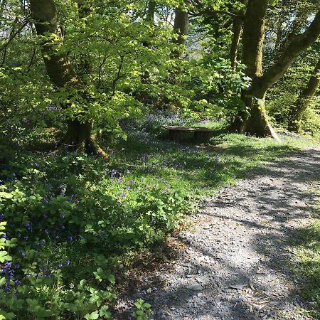 Hotel 173A Woodland Way Porthmadog Exterior foto