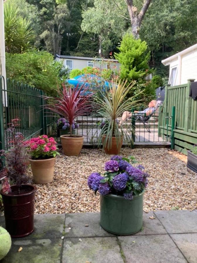 Hotel 173A Woodland Way Porthmadog Exterior foto